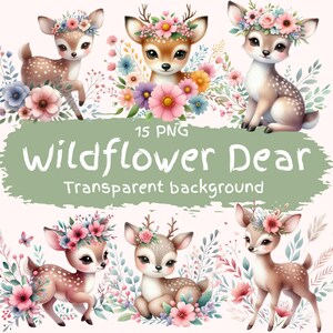 Pacchetto Clipart di fiori selvatici Caro 15 PNG di alta qualità Caro acquerello del bosco Caro Download digitale Stampabile Carta Artigianato Fiore Bambino Caro