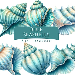 Puede incluir: Ilustración de varias conchas marinas azules con detalles dorados. La imagen incluye el texto "BLUE SEASHELLS" y "18 PNG - TRANSPARENT" sobre un fondo turquesa. Las conchas tienen una apariencia detallada y texturizada.