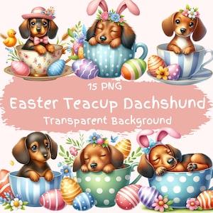 Pacchetto di clipart di bassotti in tazza da tè di Pasqua 15 PNG Download digitale File stampabili di cuccioli di Pasqua carini Pagine di Pasqua per cani bassotti Cucciolo di bassotto