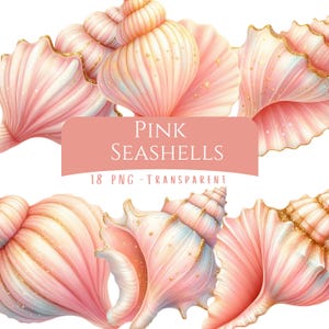 Könnte beinhalten: Eine Sammlung rosa Muscheln mit goldenen Akzenten. Das Bild zeigt verschiedene Muschelformen und -größen mit einem weichen, aquarellartigen Effekt. Text auf einem rosa Banner lautet "PINK SEASHELLS" und "18 PNG - TRANSPARENT".