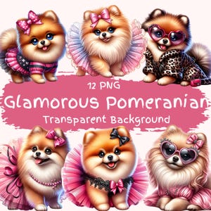 Pacchetto di clipart glamour di Pomerania 12 PNG di alta qualità, file digitali stampabili di Pomerania carini, file grafici di pompon rosa impertinenti