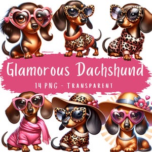 Pacchetto di clipart di bassotti glamour 14 PNG Clip art di cani bassotti carini Bassotto femminile con occhiali da sole Adorabile razza di cane Arte digitale
