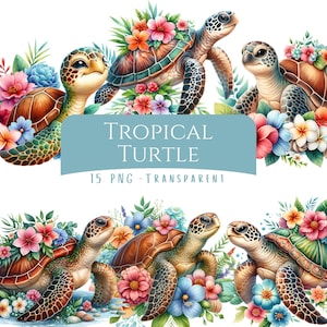 Tropical Turtle Clipart Bundle 15 PNG Floral Summer Sea Turtle Digital Download Reptile Png Paper Crafts Cute Animal Clipart Hawaii Scapbook