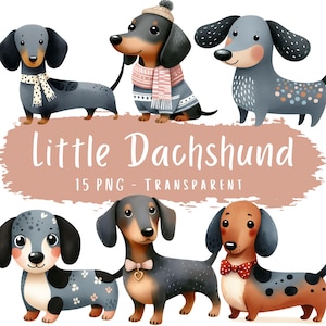 Kleiner Dackel Clipart Bundle 15 PNG hochwertige Aquarell Illustration Dackel Hund Digitaler Download Kinder druckbare niedliche Hund Papiermodelle