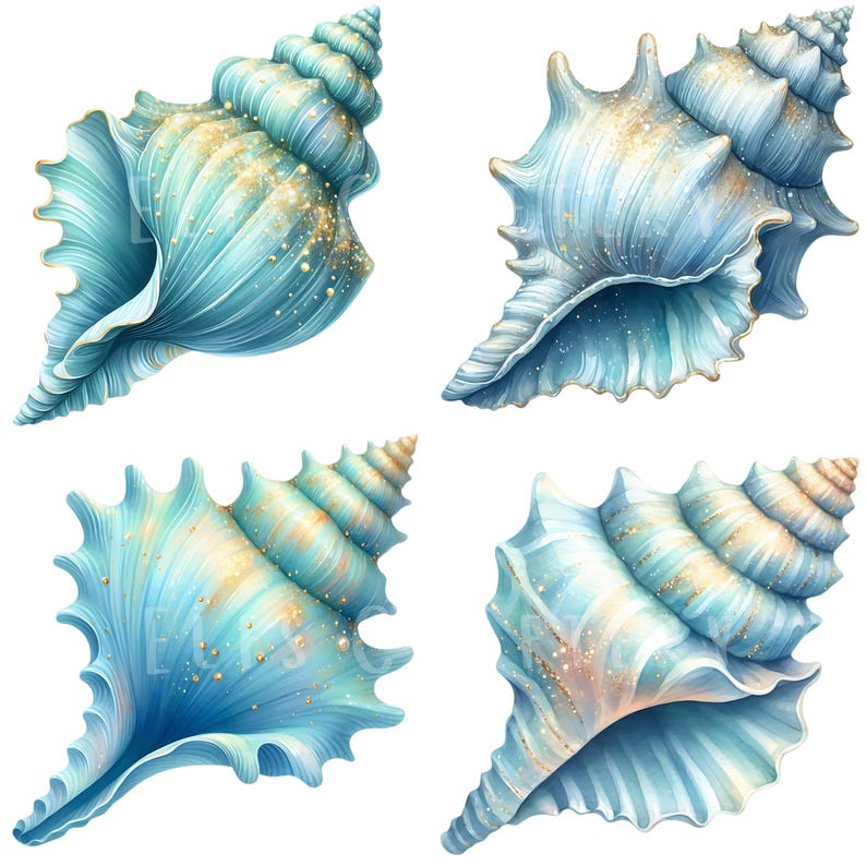 Blue Sea Shells Clipart Bundle 18 PNG High Quality Watercolor Ocean ...