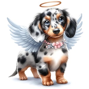 15 JPG Angel Dachshund Clipart Bundle Dachshund Memorial Digital Download Printable Wall Art Dog Memorial Poster Mele Doxie Angel Wings JPG