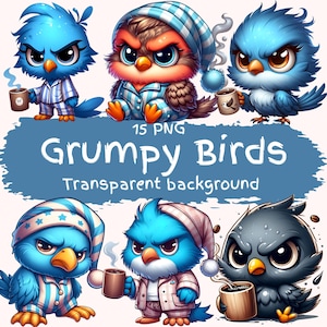 Paquete de imágenes prediseñadas de pájaros gruñones: 15 imágenes PNG de alta calidad, dibujos animados, adorables y peculiares pájaros de café matutino, descarga digital, manualidades imprimibles, pajarito malhumorado.