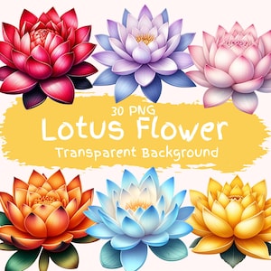 蓮の花のクリップアートバンドル 30 PNG 高品質水彩画鮮やかな花カラフルな蓮のデジタルダウンロードアートファイルデジタルクラフト画像
