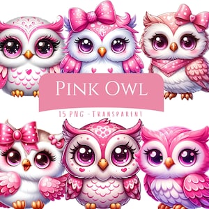 Rosa Eule Clipart Bundle 15 PNG Hochwertige Cartoon Eule Ilustrationen Süße Pastell Eule Digitale Kunst Download Printables Digitales Basteln Pngs Bild 1
