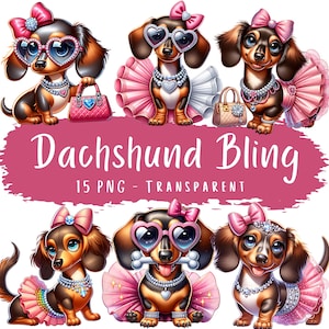 Pacchetto di clipart con 15 bassotti PNG, clipart di un simpatico cane bassotto, cucciolo di bassotto femminile, adorabile razza di cane, adesivi stampabili per arte digitale.