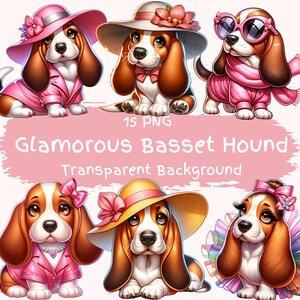 Pacchetto di clipart glamour Basset Hound 15 file PNG di alta qualità Pacchetto di arte Basset Hound carino Immagini trasparenti Scrapbook Junk Journal