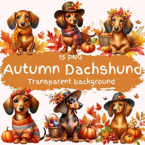 Herbst Dackel Clipart Bundle 15 PNG hochwertige Miniatur Dackel Welpen Digital Download Printable Thanksgiving Weiner Hund Dateien PNG