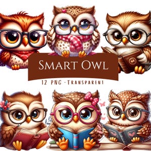 Smart Owl Clipart Bundle 12 PNG High Quality Cartoon Cute Nerd Book Lover Owl with Glasses Bookworm Owl Digital Download Printable Art Files