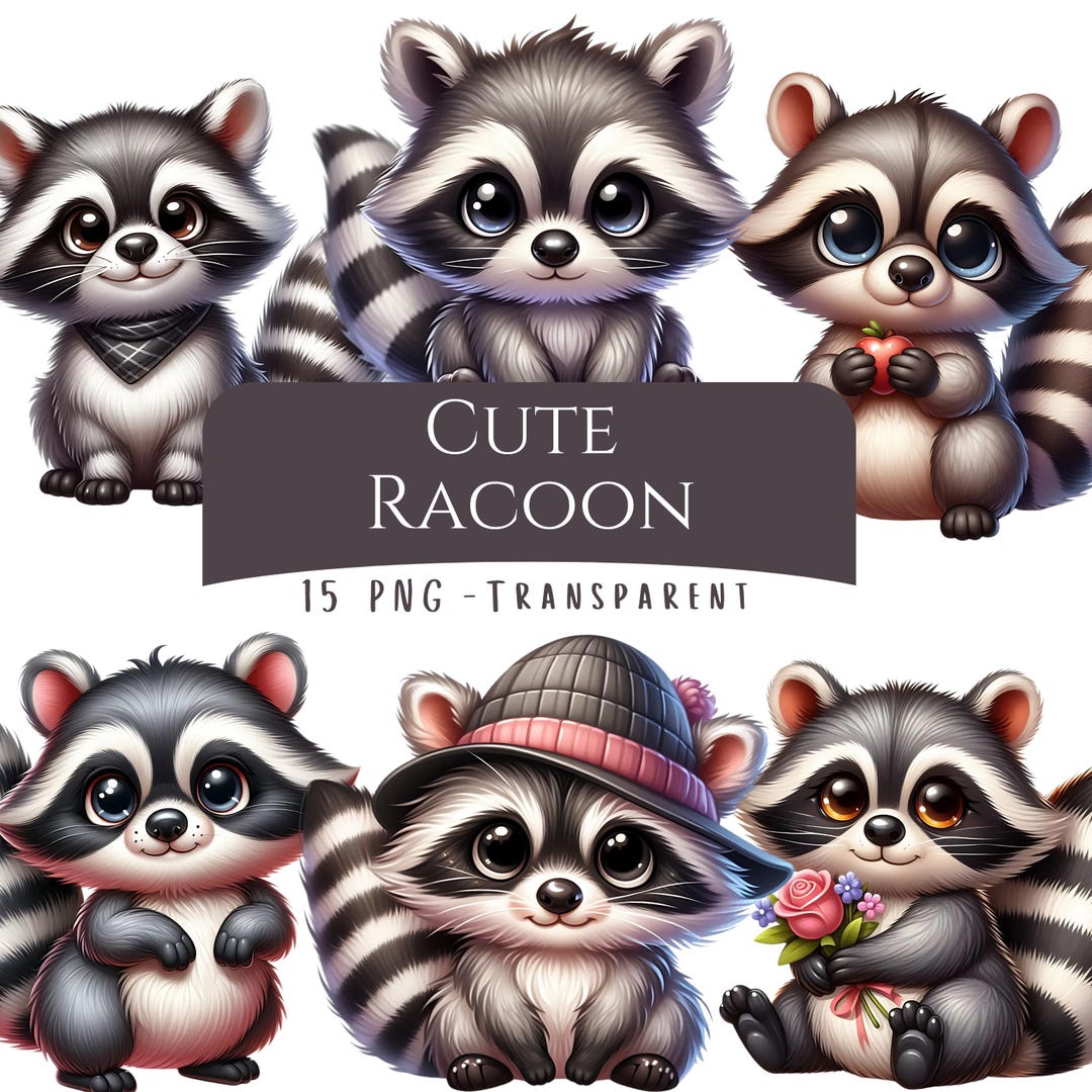 Cute Racoon Clipart Bundle 15 PNG High Quality Watercolor Woodland Baby ...