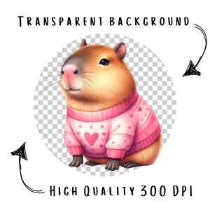 Puede incluir: Ilustraci&oacute;n digital de un carpincho con un su&eacute;ter rosa con dise&ntilde;os de corazones. El carpincho tiene pelaje marr&oacute;n, una nariz rosada y est&aacute; sobre un fondo transparente. El texto en la parte superior dice "TRANSPARENT BACKGROUND" y en la inferior "HIGH QUALITY 300 DPI".