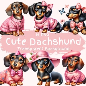 Süße Dackel Clipart Bundle 15 PNG-Dateien Adorable Coquette Bow Dackel Hund Digitale Grafik druckbare Aquarell Weenie Junk Journal Seiten