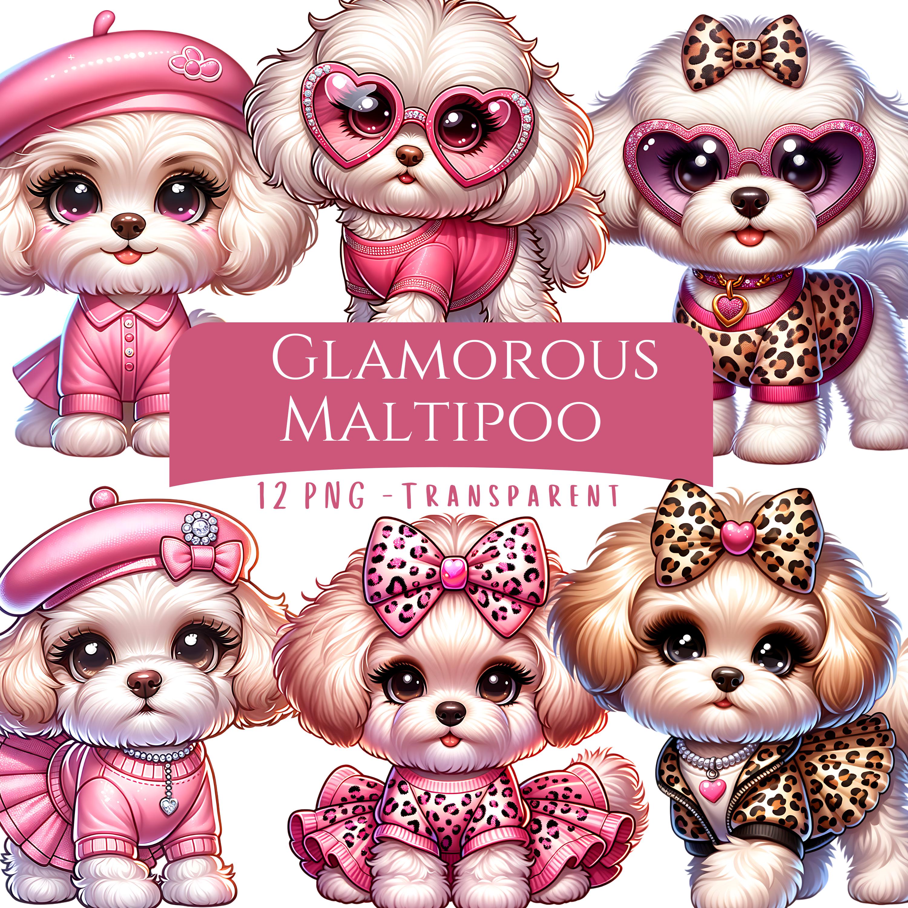 Glamorous Maltipoo Clipart Bundle 12 PNG High Quality Cute Puppy ...