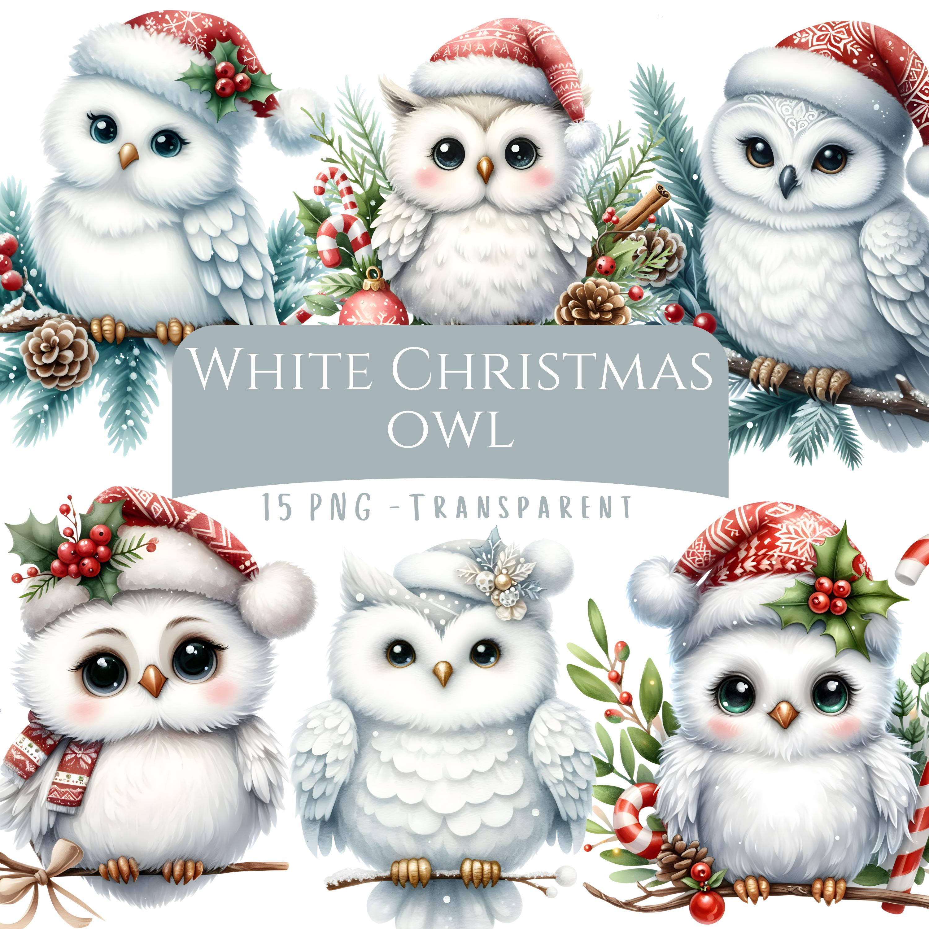 White Christmas Owl Clipart Bundle 15 PNG High Quality Cartoon Cute Winter Owl White Christmas Anima