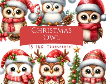 Christmas Owl Clipart Bundle 15 PNG High Quality Cartoon Cute Winter Season Owl Christmas Animals Digital Download Christmas Prints Cards