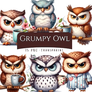 May include: A digital illustration featuring six cartoon owls with various expressions. The owls are perched on branches and holding mugs. The text "GRUMPY OWL" and "15 PNG - TRANSPARENT" are displayed on a brown banner.