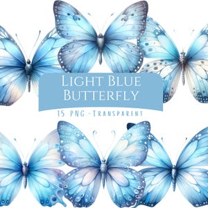 Può includere: Una collezione di illustrazioni di farfalle acquerellate azzurre. Le farfalle hanno motivi alari dettagliati e sono in varie pose. Il testo su uno striscione azzurro recita "LIGHT BLUE BUTTERFLY" e "15 PNG - TRANSPARENT".