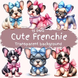 Süße Frenchie Clipart Bundle 15 PNG hochwertige Aquarell Bogen Baby französische Bulldogge Digital Download Grafik Hund Liebhaber Geschenk DIY Kartenherstellung