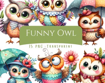 14 虹色のフクロウのクリップアート、クレイジーな髪とメガネの面白い