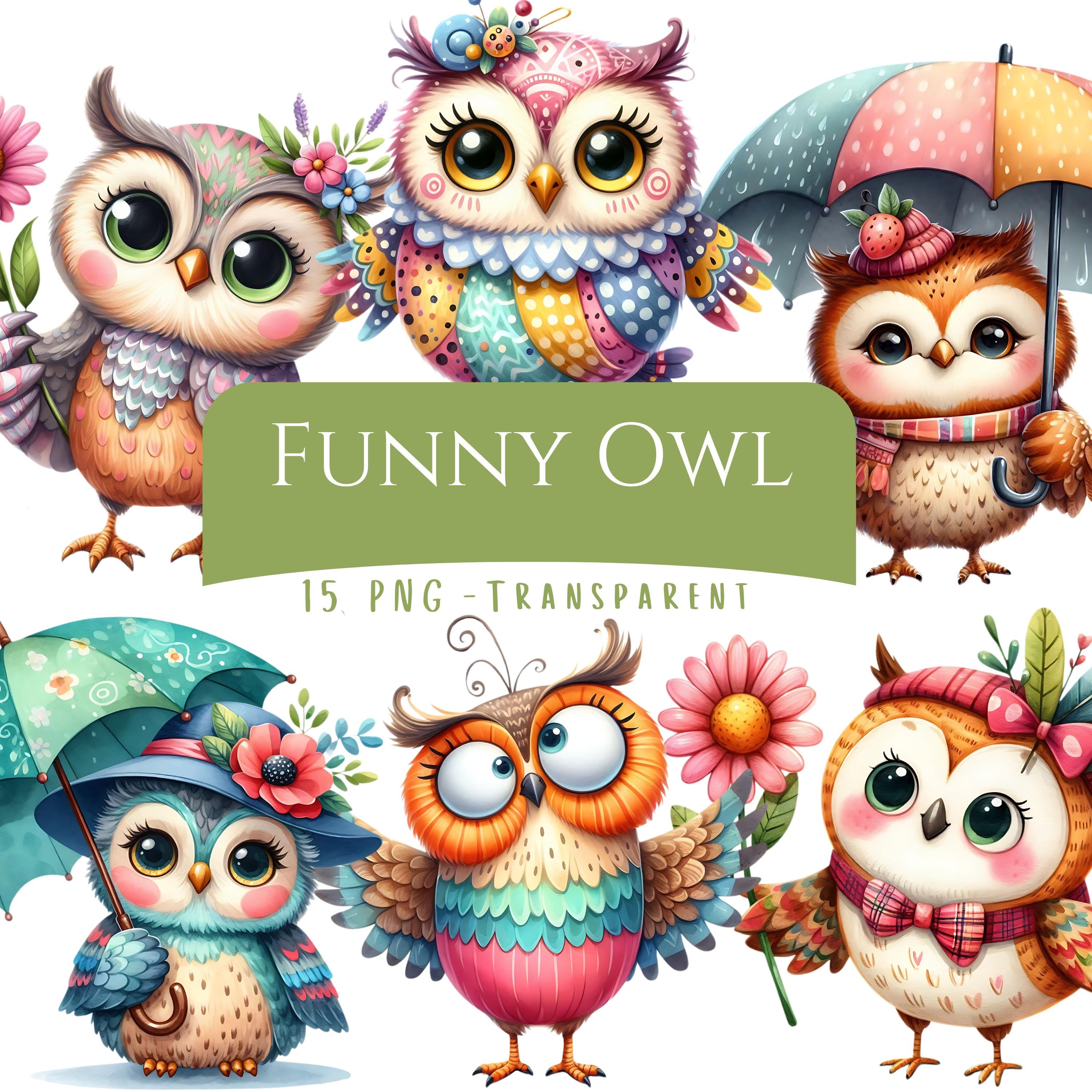 Funny Owl Clipart Bundle 15 PNG High Quality Watercolor Quirky Owl Digital Download Funny Woodland O