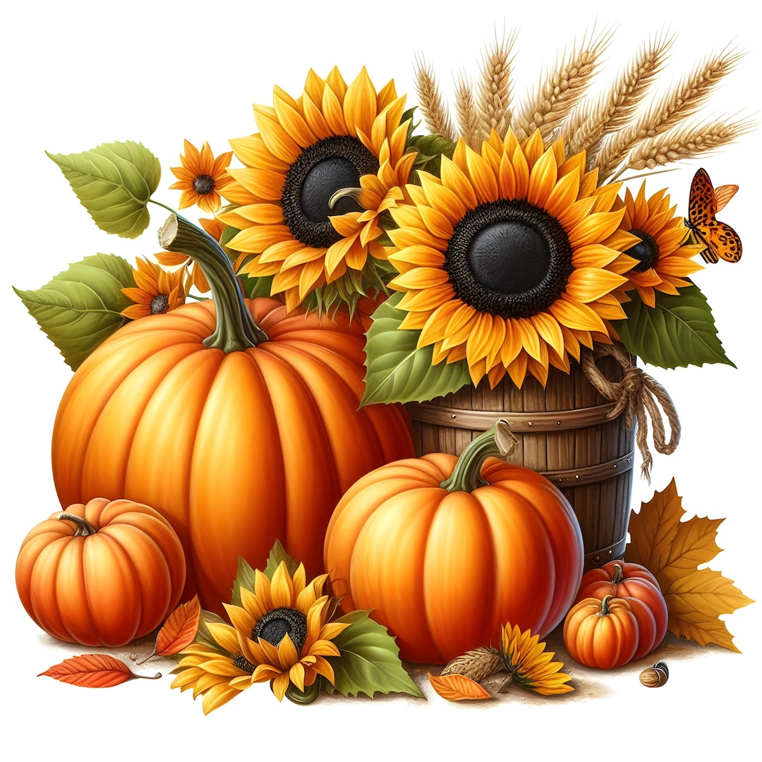 15 JPG Pumpkin and Sunflower Clipart Watercolor Fall Season Pumpkin ...