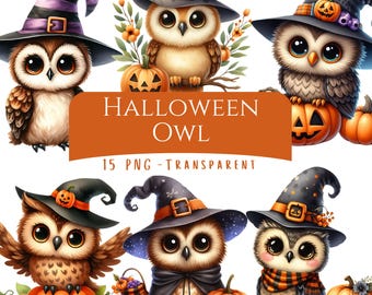 Halloween Owl Clipart Bundle 15 PNG High Quality Watercolor Cute Owl Digital Download Fall Owl Printable Autumn Woodland Junk Journal Images