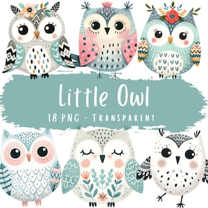 Steenuil clipartbundel 18 PNG aquarel schattige bosuil digitale download printables papier ambachtelijke babykamer decor Scandinavische muurkunst