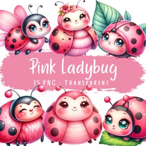 Rosa Marienkäfer Clipart Bundle 15 PNG hochwertige Aquarell kleine Pastell Bug digitaler Download Printables niedlich rosa Insekt Scrapbooking Kunst
