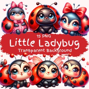 Kleiner Marienkäfer Clipart-Bundle 15 PNG-Qualitäts-Karikatur-Süßer Marienkäfer Digitaler Download Kunst Süßes Insekt Clipart Pack Digitales Basteln Bilder