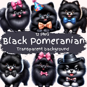 Schwarz Pommern Clipart Bundle 12 PNG hochwertige Cartoon niedlichen Pommern Digital Art Dateien entzückende Hunderasse Grafiken druckbare Bilder