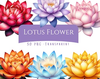 Lotus Flower Clipart Bundle 30 PNG High Quality Watercolor Vibrant Flowers Colorful Lotus Digital Download Art Files Digital Crafting Images