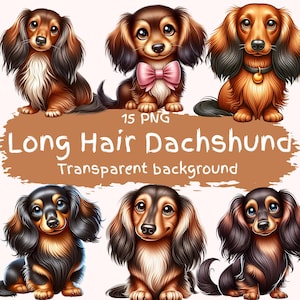 Langhaar Dackel Clipart Bundle 15 PNG hochwertige Miniatur Dackel Welpen Digital Download druckbare Dateien Süße Dackel Pngs
