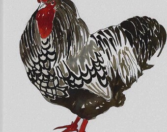 Poulet - Carte de voeux