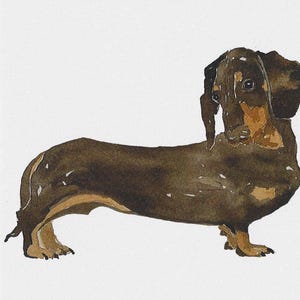 Dachshund - Greetings Card