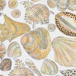 May include: A watercolour painting of various seashells in shades of brown, beige, and white. The shells are arranged in a random pattern on a white background.