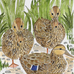 The Ducks - Greetings Card