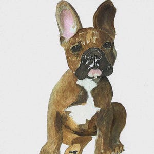 Bulldog Francés - Tarjeta de felicitación