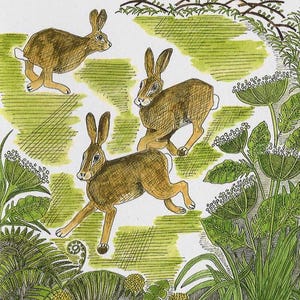 Frolicking Hares - Greetings Card