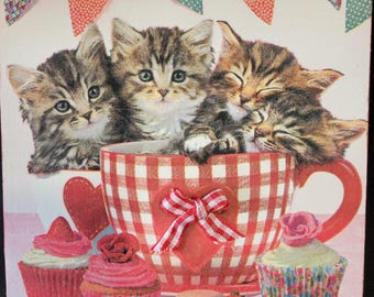 Four Adorable Kittens in Valentines Tea Cups, Valentines Decor