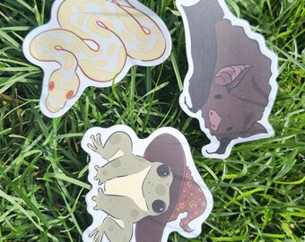 May include: Three stickers featuring a snake, a frog wearing a witch's hat, and a bat. The stickers are on a green grassy background.