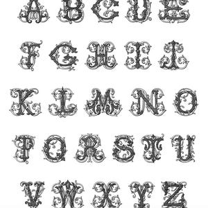 K&ouml;nnte beinhalten: Eine Schwarzwei&szlig;illustration des Alphabets in einer dekorativen, verzierten Schriftart. Jeder Buchstabe ist von komplizierten Schn&ouml;rkeln und Wirbeln umgeben.