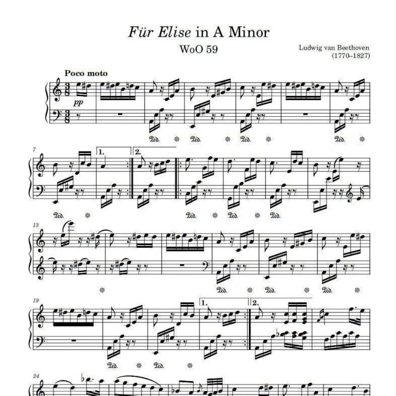 K u v Beethoven Etsy Australia