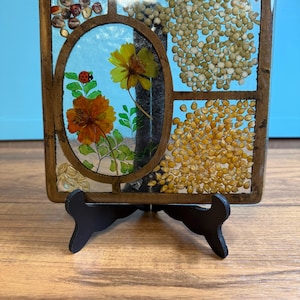 Vintage Lucite Trivet. Seeds, Grains Flowers and Lady Bug.