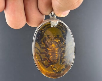 Old Beautiful Chinese Natural Amber Carving Animal scorpion Amulet Pendant