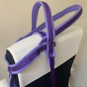 Custom dog harness with handles