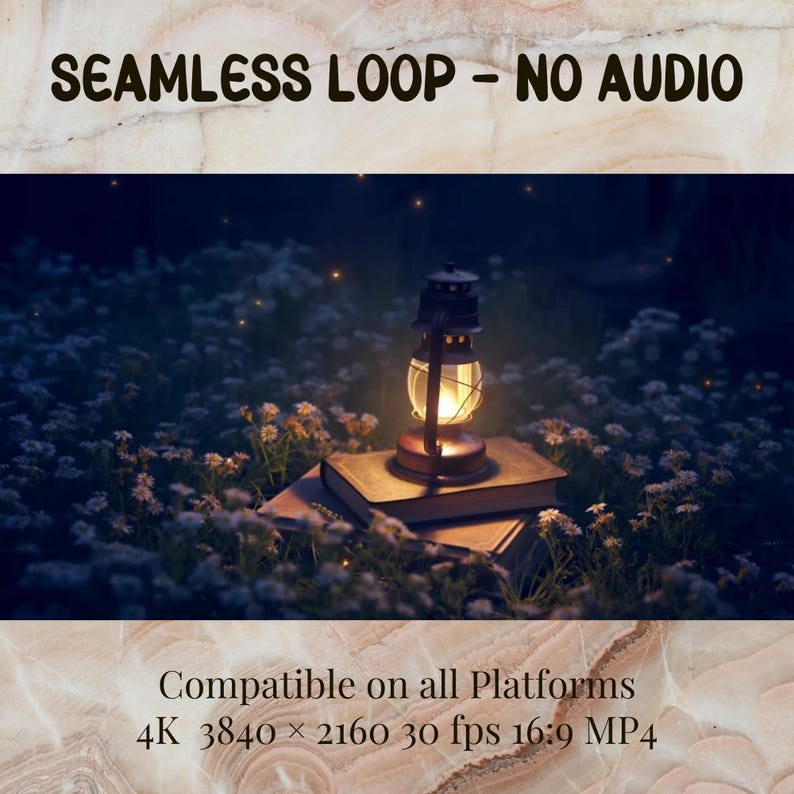 May include: A glowing lantern sits atop a stack of books in a field of white flowers. The image has the text "SEAMLESS LOOP - NO AUDIO" at the top and "Compatible on all Platforms 4K 3840 x 2160 30 fps 16:9 MP4" at the bottom.